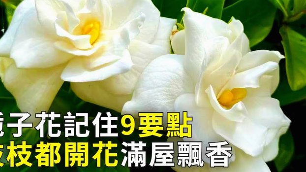 花呗提现：原理、流程与安全须知