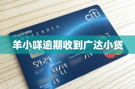 羊小咩借款入口指南