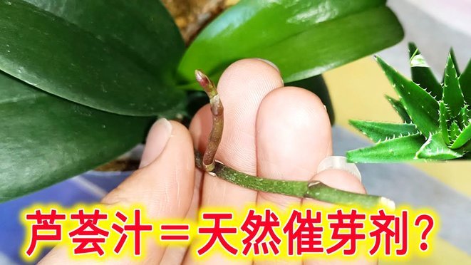 携程“拿去花”可套现？
