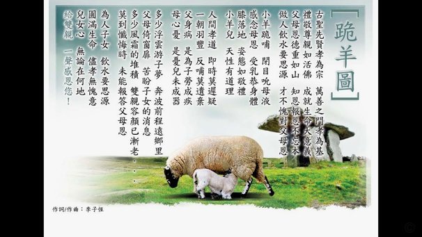 羊小咩10000额度提现额度详解