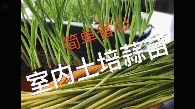 拿去花套现商家秒退维权指南