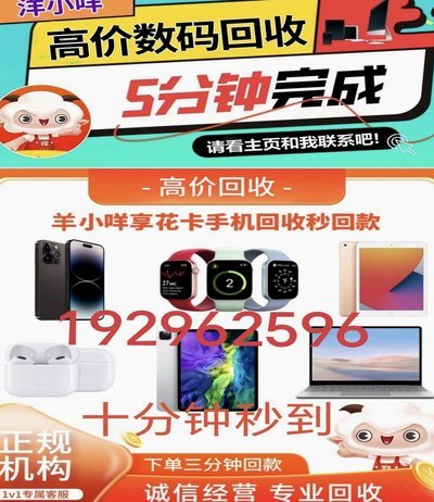 羊小咩临时额度