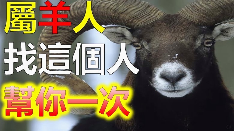 羊小咩购物额度提现技巧揭秘