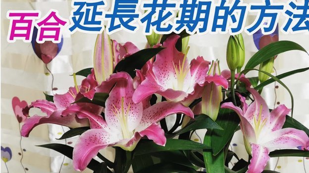 怎样套花呗里面的钱