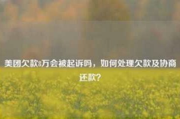 美团月付取现上征信吗 取不了