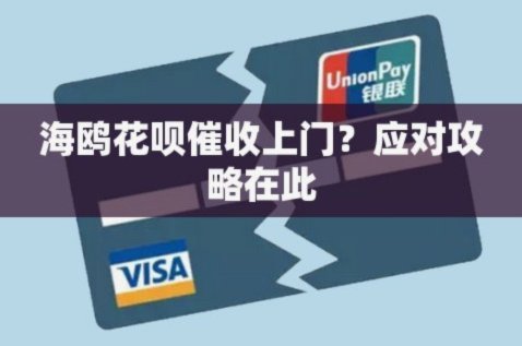 海鸥花呗怎么注销账号