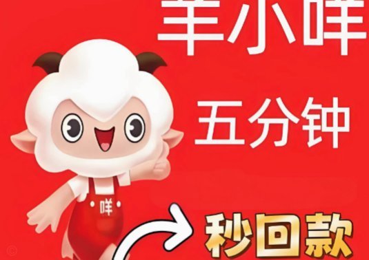 羊小咩申请退款什么时候能到