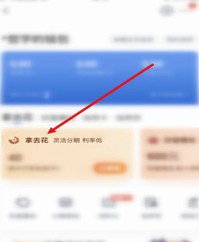 携程拿去花是什么平台
