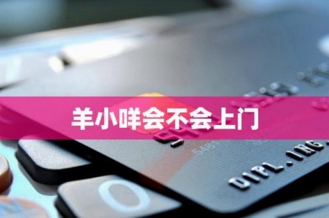 羊小咩是正规借款平台吗