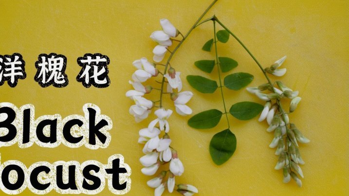 拿去花怎么套出来