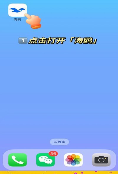 海鸥网贷平台