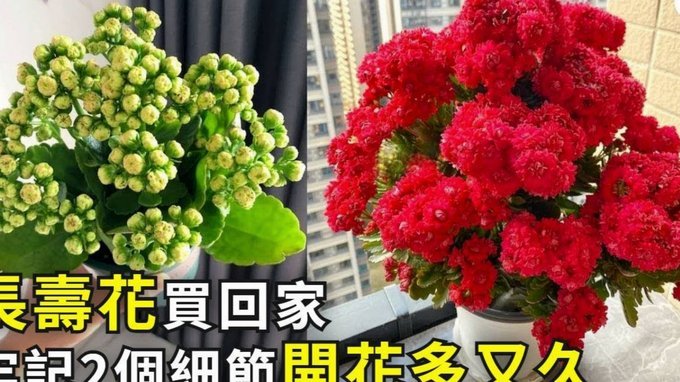 携程拿去花怎么关闭自动还款