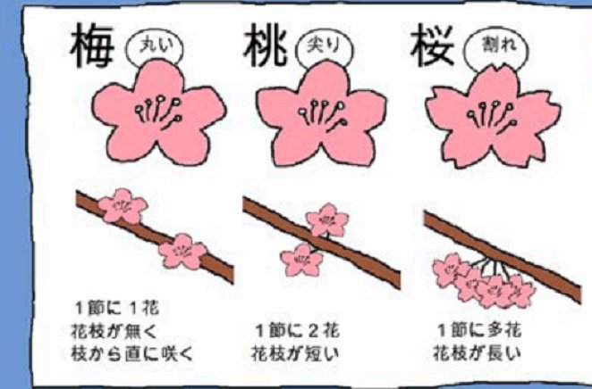 花呗套线多久解封