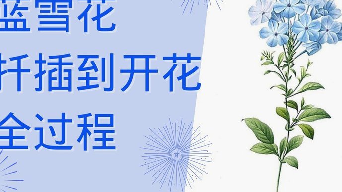 携程拿去花可以关闭吗