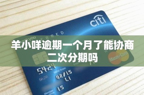 羊小咩发货后能退吗？