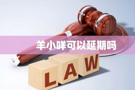 羊小咩发货了能退吗