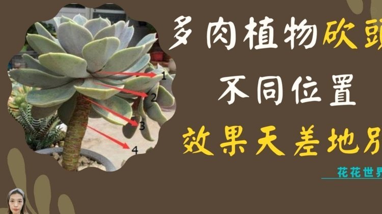 资源交易的代价密码