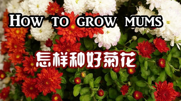 携程“拿去花”：如何提升自身信用？