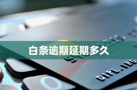 白条账单延期在哪里