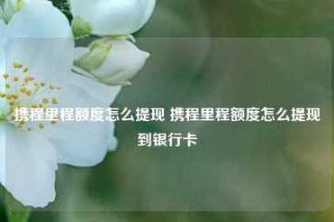 携程拿去花取现时间