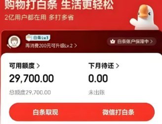 白条付费额度套出来最简单方法