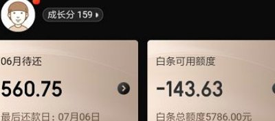 白条如何设置额度