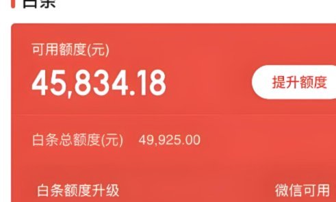 京东白条提现避开高峰时间指南