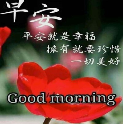 花呗套现：金融风险与社会现象