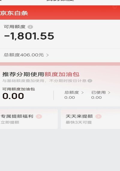 白条支付：重塑消费金融的新生态