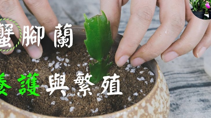 如何快速掌握“拿去花”的正确用法