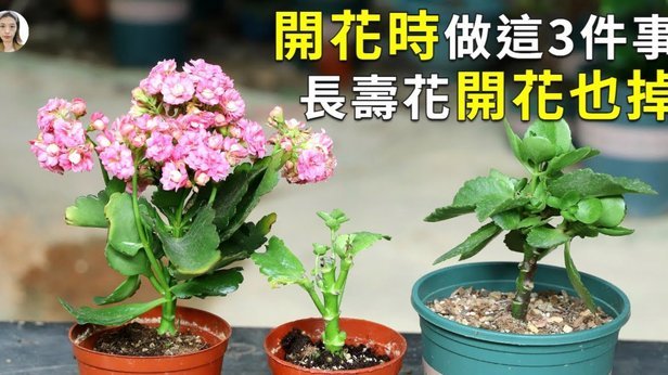揭秘花呗秒到背后的套路与风险