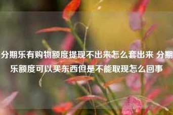 分期乐额度不足？购物还有这些方法！