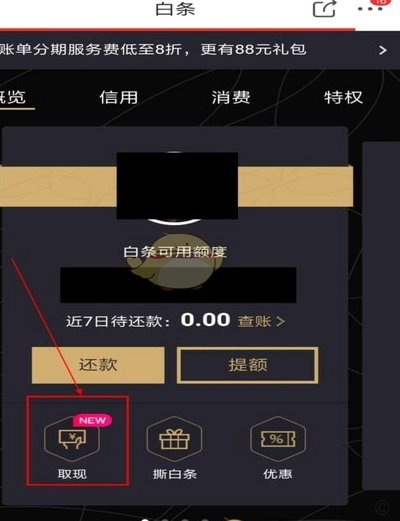 白条取现到账时间？查询进度和注意事项一文看懂