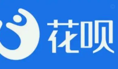 花呗现象 平台是什么软件