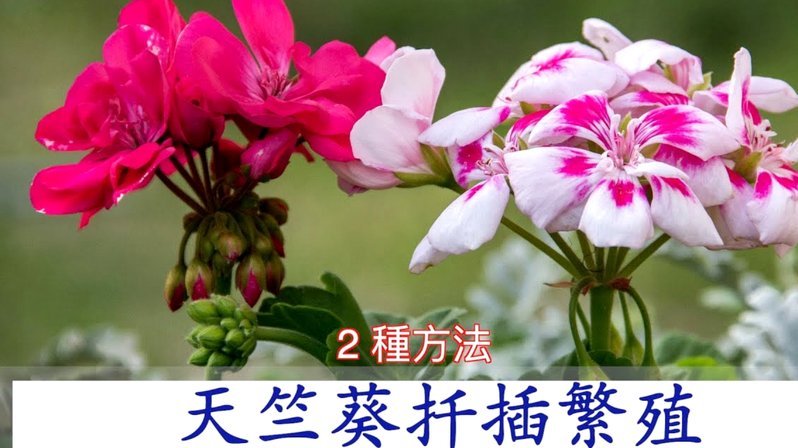 能用花呗支付的平台叫什么