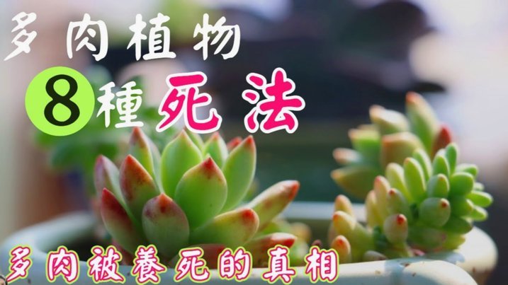得物余额到底怎么用？花到极致的N种玩法大公开