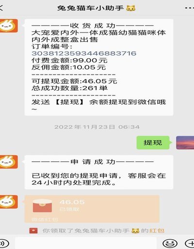 羊小咩佣金秘密：掌握平台变现的底层逻辑