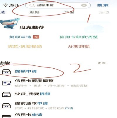 羊小咩临时额度恢复全攻略